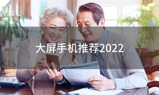 大屏手机推荐2022(手机屏幕大的手机推荐)