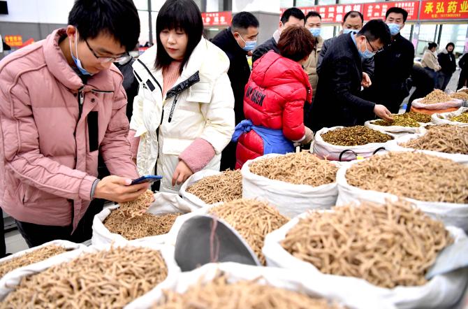亳州有几个药材交易市场「亳州中药材市场收购羊宝吗」