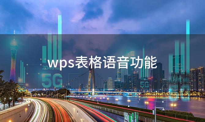 wps表格语音功能「09年高考成绩如何查询」